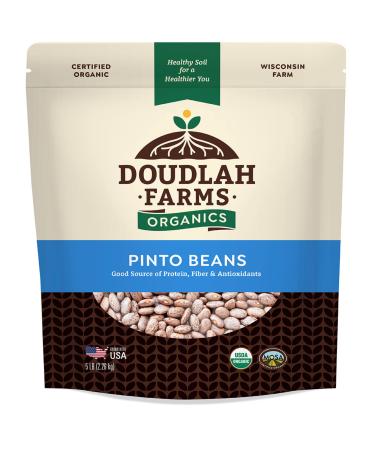 Organic Dried Pinto Beans 5lb Bulk by Doudlah Farms - Farmed From Regenerative Soil | Vegan, Non-GMO, Grown In USA | Fiber & Protein for Soups, Burritos, Salads, and More! 5 Pound (Pack of 1)