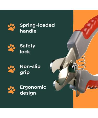Winner 2021 Claw Scissors for Dogs | Pet Nail File & Grinder for Cats Birds & Rodents | Best Pet Nail Cutter 5.5cm - Buy Online on GoSupps.com
