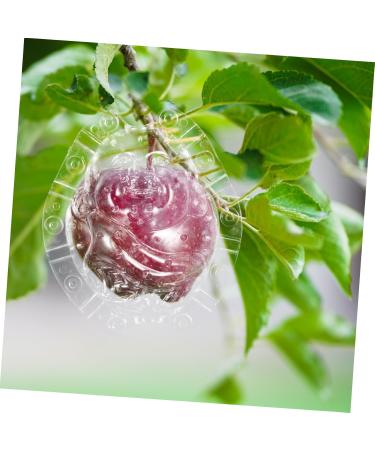 VINTORKY Shaped Growth Fruit for Shaping Reusable Forming Shaper Melon Ginseng Watermelon - Buy Online on GoSupps.com