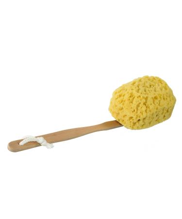 Premium Long Handled Bath & Shower Body Brush | Faux Sea Sponge Back Scrubber for Exfoliating & Cleansing - International Shipping Available - Buy Online on GoSupps.com