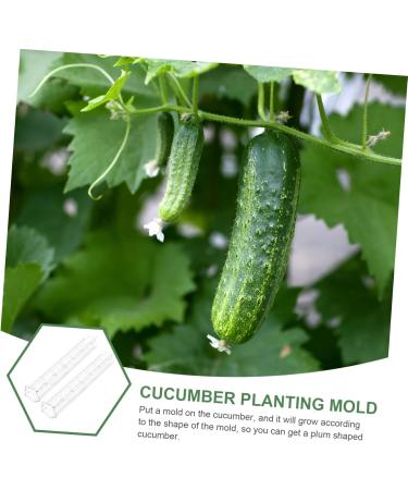 Parliky 3pcs Vegetable Shaping Mold Flower Shape Strawberry As Shown 20x6cm - Buy Online on GoSupps.com