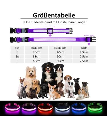 LED Dog Collar - Waterproof Color Changing Adjustable Light Collar for Small & Medium Dogs - Night Safety - PCEOTLLAR - Purple S (28-40cm) - Buy Online on GoSupps.com