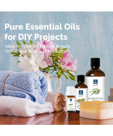 Geranium Essential Oil 10ml 100% Pure Geranium Oil for Diffuser Skin Hair Face Soap & Candle Making Aromatherapy & Massage Geranium 0.34 Fl Oz (Pack of 1) - Buy Online on GoSupps.com