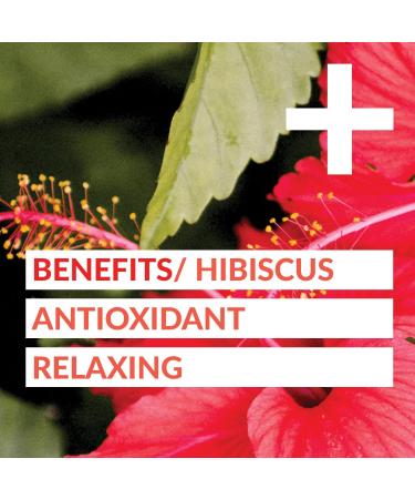 goodvibes juice co. Get Well | Natural Wellness Shot | Elderberry Ginger Hibiscus Lemon Maple Cayenne | Antioxidants Immunity Decongestion | Vegan Gluten Free | 50mL Pouch (Pack of 24) - Buy Online on GoSupps.com