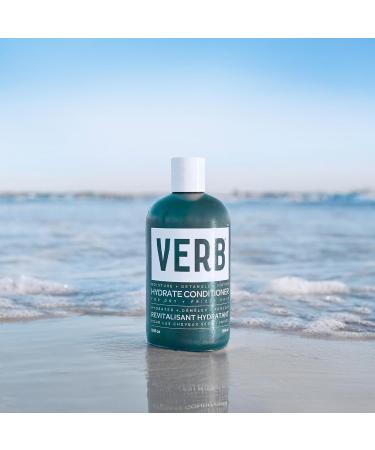 VERB Hydrate Conditioner - Detangles Dry Frizzy Hair | Adds Moisture & Reduces Frizz | Amber + Warm Jasmine 12 Fl Oz - International Shipping Available - Buy Online on GoSupps.com