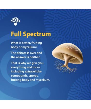 PURICA Cordyceps Sinensis Capsules - 360ct for Enhanced Immune & Energy Support Kidney Health Adult Immune Booster Organic Mushroom Extract Supplement for Stamina & Vitality - Buy Online on GoSupps.com