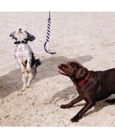 Buy PopetPop Interactive Dog Toys - Outdoor Training Fishing Pole Teaser for Large Dogs - Buy Online on GoSupps.com