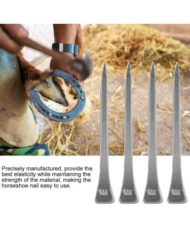 Steel Horseshoe Nails 250Pcs Horseshoe Nails Nail Palm for Horse Horseshoe Nail Horseshoe Nail Horse Horseshoe Nail for Horse Race Horse - Buy Online on GoSupps.com