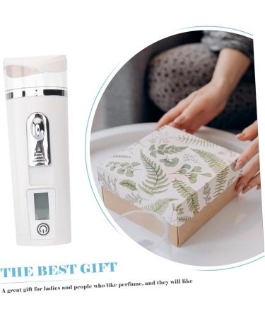 POPETPOP 2pcs Hydrating Instrument Air Humidifier Mist Spray Fog Humidifier Pearlescent Plate - Buy Online on GoSupps.com