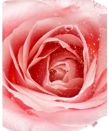 Skin Natural Rose Micellar Polish for Warts - Effective Wart Treatment & Skin Care | Shop Internationally - Buy Online on GoSupps.com