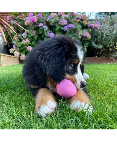 Shop BecoThings Large Pink Dog Toy Ball - Eco-Friendly & Durable Pet Playtime - Buy Online on GoSupps.com