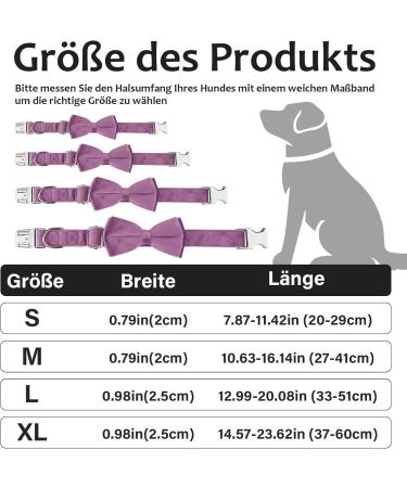 Asvin Velvety Dog Collar with Removable Fly | Soft & Comfortable Multi-Color Dog Collar for Weddings Birthdays & Parties - Shop Now! - Buy Online on GoSupps.com