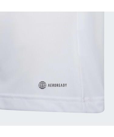 Buy adidas Unisex Kids Ent22 JSY Y T-Shirt 13-14 Years White | International Shipping Available - Buy Online on GoSupps.com