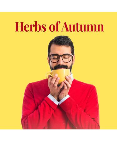 The Republic of Tea Hot Apple Cider Tea 36 Bags Tin - Harvest Herbal Blend, Caffeine-Free, 36 Count - Buy Online on GoSupps.com