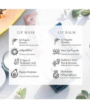 KAPLAN MD Perfect Pout Duo: Lip Mask (0.5 oz.) & Crystal Clear Lip Balm (0.17 oz.) - Buy Online on GoSupps.com