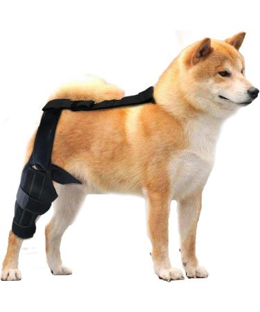 Dog ACL Knee Brace | Brace Behind Leg Neoprene Hip Brace Support Dog Knee Brace Adjustable Traction Belt for Cruciate Ligame for Cruciate Ligament Injury for Torn ACL Leg L right - Buy Online on GoSupps.com