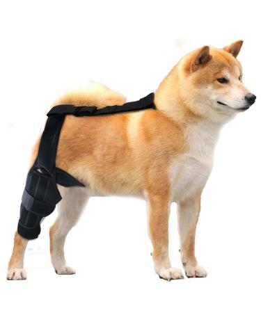 Dog Knee Support Brace Professional Knee Support Brace Rear Leg Stabilizer for Small Dogs Neoprene Hip Brace with Adjustable Traction Belt for Cruciate Ligament Injury Joint M right
