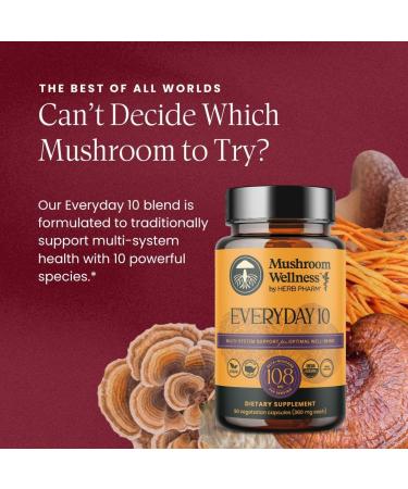Mushroom Wellness Everyday 10: Organic 10-in-1 Mushroom Capsules with Lion's Mane, Shiitake, Reishi, Turkey Tail & More, Mushroom Powder Supplement, Immune & Nervous System Support, 90 Vegan Capsules - Buy Online on GoSupps.com