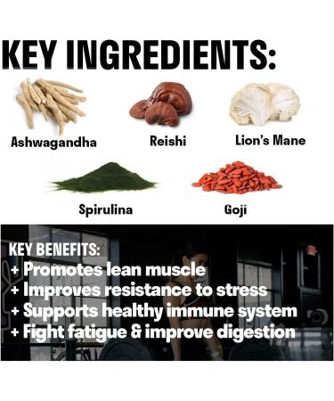 fitppl Plant Protein Superfood Powder with Adaptogens - Ashwagandha, Reishi, Lions Mane, Spirulina, Acai - Plant Based Keto Meal Shake - Organic Ingredients - Vanilla & Goji - 20 Servings - Buy Online on GoSupps.com
