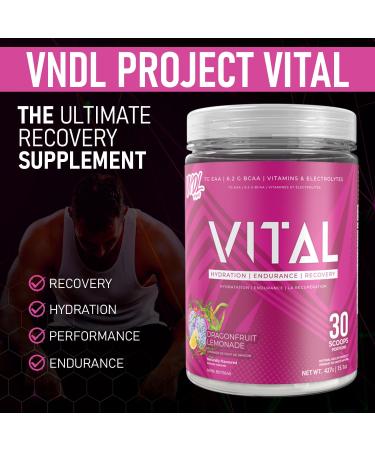 VNDL Vital EAA Supplement for Recovery with Amino Acids & Electrolyte Powder-Boost Muscle & Hydration with BCAAs-Improve Performance with Coconut Water Powder-Dragon Fruit Lemonade Flavor- 30 Servings Dragonfruit Lemonade - Buy Online on GoSupps.com