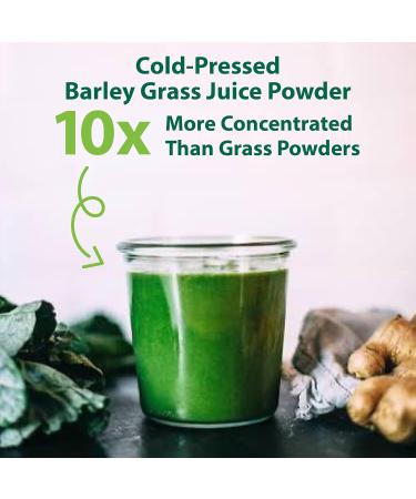 MacroLife Macro Greens Powder 38 Superfood Probiotics Antioxidants Digestive Enzymes & Adaptogen Supplement - Daily Super Green Juice & Smoothie Mix - Non-GMO Vegan Gluten-Free - 10oz (30 Servings) 10 Ounce (Pack of 1) - Buy Online on GoSupps.com