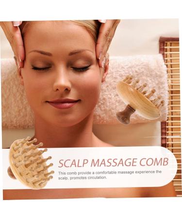 Healvian 3ST Massage Comb - Portable Wooden Shampoo Brush for Professional Hair Care | Comfortable Hand Massage Hairbrush - Buy Online on GoSupps.com