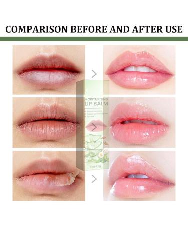 Trendyfave Moisturize Lip Balm Plumping Lip Gloss Aloe Natural Lip Balm Long-Lasting Lip Repair Nutritious - For Dry Lips Treatment for Cracked Chapped Lips Gifts For Girls and Women 1 - Buy Online on GoSupps.com