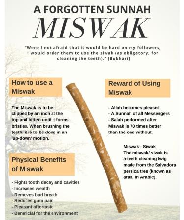 Organic Miswak Sticks for Teeth - Natural Chewing Sticks | Pack of 12 | Cleaning Disinfecting & Whitening - Buy Online on GoSupps.com
