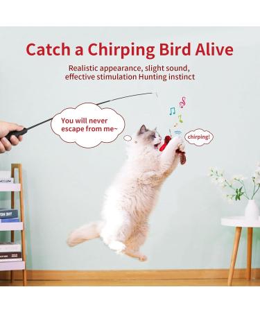 Tohdnc Interactive Cat Bird Toy with Stick - Realistic Flying Birds & Springs for Indoor Kittens - Buy Online on GoSupps.com