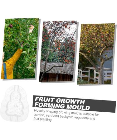 Milisten Gardening Tools 6 pcs Watermelon Mould Tools Clear Supplies Growing Garden Vegetable Multifunction Moldvegetable Transparentx2pcs 9x8cmx2pcs - Buy Online on GoSupps.com