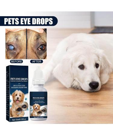 Cataract Eye Drops for Dogs Pets Eye Drops Effective Dog Eye Infection Treatment Cats Eye Cleaner Cataract Eyedrops Improve Vision Clarity Relieve Red Eyes & Allergy Symptoms (2 x 0.35fl.oz) Blue - Cataract Eyedrops for Dogs (2 Bottle) - Buy Online on GoSupps.com