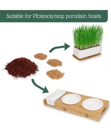 Buy PfotoLymp Cat Grass Re-Plant Set - Wheat Grass Seed & Earth for DIY Cat Grass in Porcelain Bowls - Buy Online on GoSupps.com