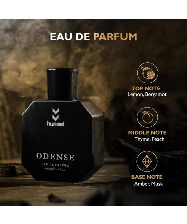 Odense Perfume EDP- 100 ml | Premium Long Lasting Luxury Fragrance | Citrusy Notes with Cinnamon and Vetiver | Best Men Perfume - Buy Online on GoSupps.com