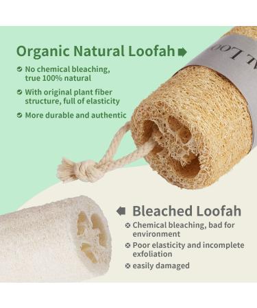 Natural Loofah Sponge Exfoliating Scrubber - Eco-Friendly Bath Luffa for Men & Women - Buy Online on GoSupps.com