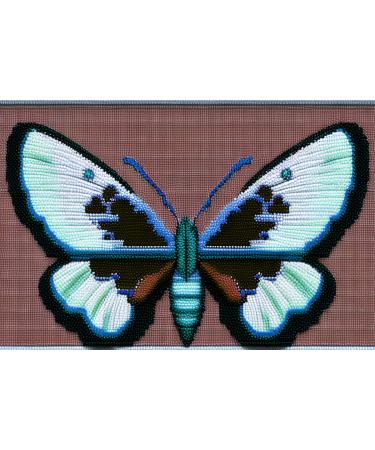 YAKOLECI Latch Hook Kits for Adults  Color Printed DIY Rug Crafts Arts Carpet for Home Decoration Festival Gift 23.6X15.8(Butterfly) Two Cats