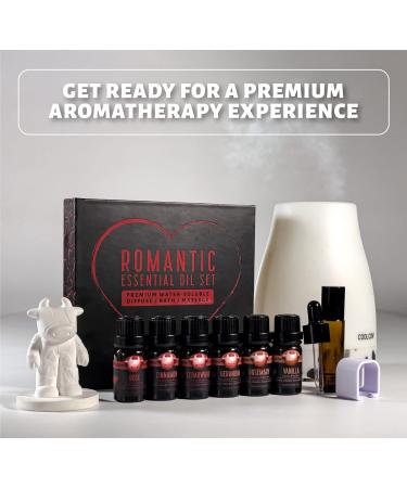 Coolcow Essential Oils Set for Diffusers - 100% Natural Aromatherapy Oils (6x10ml) - Geranium Rosemary Rose Cedar Cinnamon Vanilla - Perfect for Massage & Relaxation - Buy Online on GoSupps.com