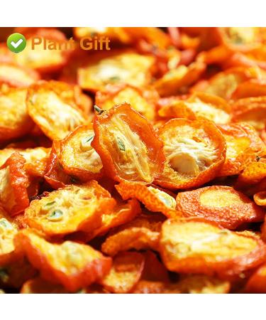 Buy Dried Kumquats Tea 100g - 100% Natural Herbal Tea | Top Quality Chinese Loose Leaf Tea - Plant Poison - Premium Herbal Tea - Buy Online on GoSupps.com