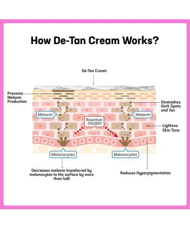 Azani Detan Cream | 2% Kojic Acid, Alpha Arbutin, Mulberry | For Skin Tan, Sun Burn, Pigmentation, Dark Spots | De Tan 1.76 Oz - Buy Online on GoSupps.com