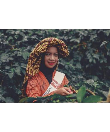 C&T Organic Fairtrade Coffee Bean Box | 13 Varieties of 20g Beans | Rare Organic and Fairtrade Coffee from Around the World + Surprise | Best Christmas Gift - Buy Online on GoSupps.com