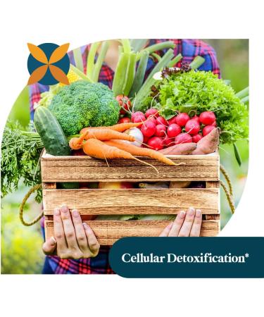 Pattern Wellness Odorless Organic Garlic 1000mg - Immune, Circulatory & Cardiovascular Support - 30 Vegan Capsules - Buy Online on GoSupps.com