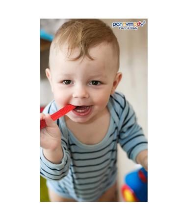 Sensory Teething Tubes (3 Pack) | Soft Silicone Teether Toy for Babies | Chewy Stick for Kids with Autism, ADHD, SPD | Oral Motor Needs | Blue Green Red - Buy Online on GoSupps.com