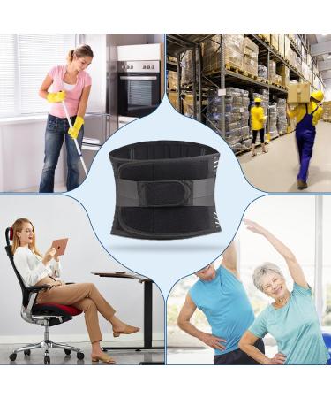 Back Brace for Lower Back Pain Relief | Sciatica & Herniated Disc Support | Lumbar Pad for Home & Work Large (37.4 -45.3  - Buy Online on GoSupps.com