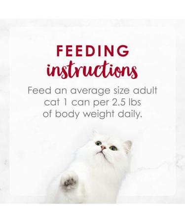 Purina Fancy Feast Medleys Salmon Primavera Wet Cat Food - 24 Pack, 3 oz Cans - Buy Online on GoSupps.com