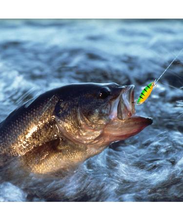43-Piece Trout Spoon Fishing Set | Bait Spinner & Colorful Indicator | International Shipping Available - Buy Online on GoSupps.com