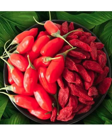 HQZM Natural Herbal Tea Goji Berries 300g Chinese Red Wolfberries 1058oz with Black Goji Gui Yuan Red Date Tea - Buy Online on GoSupps.com