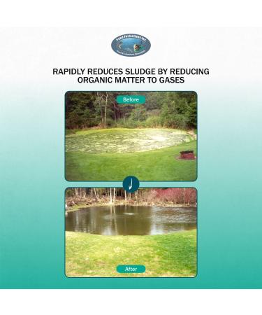 Pond Perfections Sludge Reduction Pellets 10lbs Natural Muck Remover for Ponds and Lakes 10 LBS - Buy Online on GoSupps.com