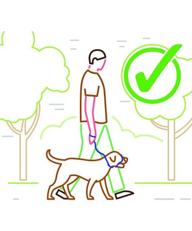 Dog & Field Figure 8 Anti-Pull Head Collar (BLUE) - One Size Soft Nylon - Comfortable & Secure - Fitting Instructions - Enjoyable Walks - No More Pulling - Buy Online on GoSupps.com