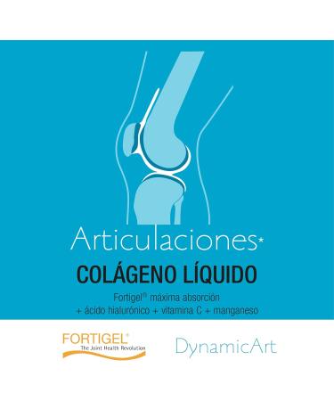  SANTIVERI SANTIVERI Dynamic Art Liquid Collagen with Fortigel Hydrolyzed Collagen / Bottle with Syrup 240ml - Buy Online on GoSupps.com