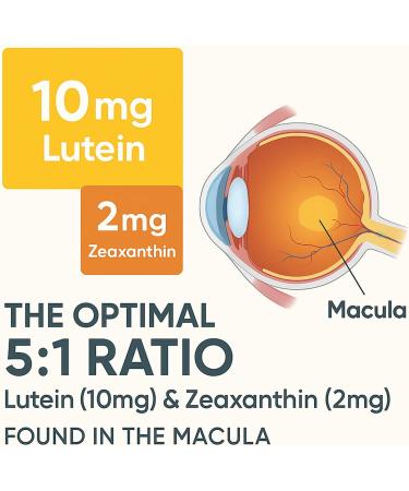 EVERVISION 14 in 1 Advanced Eye Formula - Eye Vitamins & Minerals Supplement with Lutein Zeaxanthin Astaxanthin Bilberry Zinc 14-in-1 Formula for Eye Health Support - 60 Capsules (1) - Buy Online on GoSupps.com