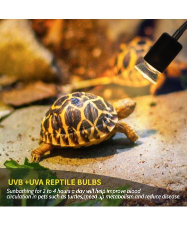 Caldarax 50W UVB Turtle Heat Lamp - Dimmable Halogen Light for Reptiles Turtles Lizards & Snakes | 2-Pack E27 Terrarium Lamps 220-240V - Buy Online on GoSupps.com